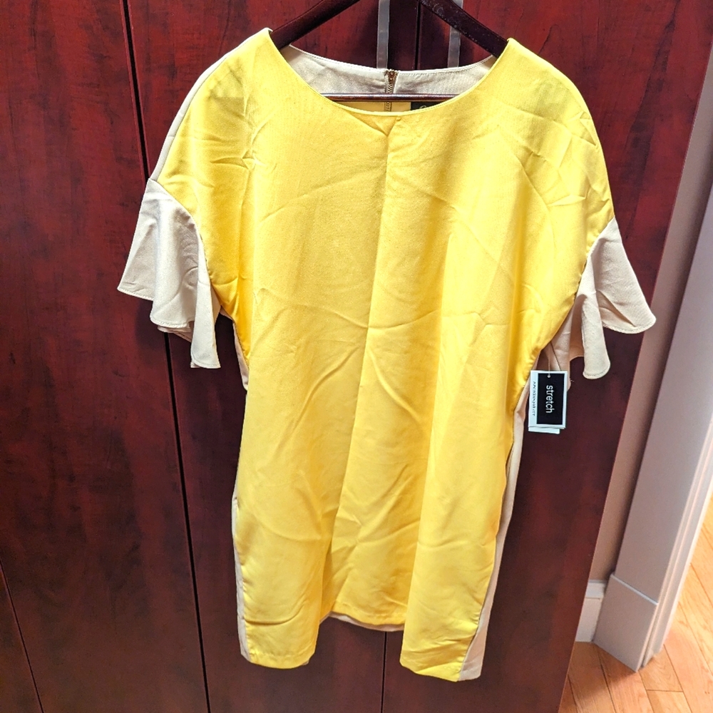 Eci Shift Dress